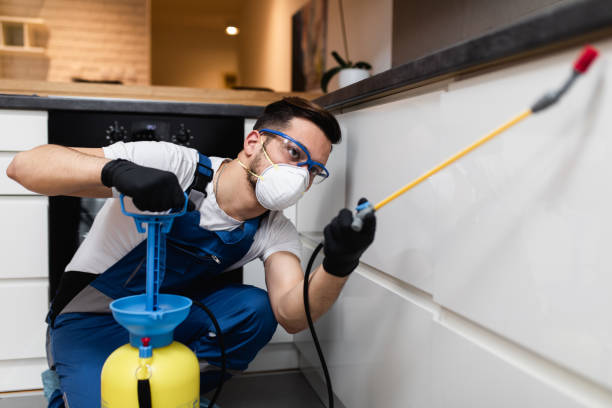 Best Pest Removal Services  in Loves Park, IL